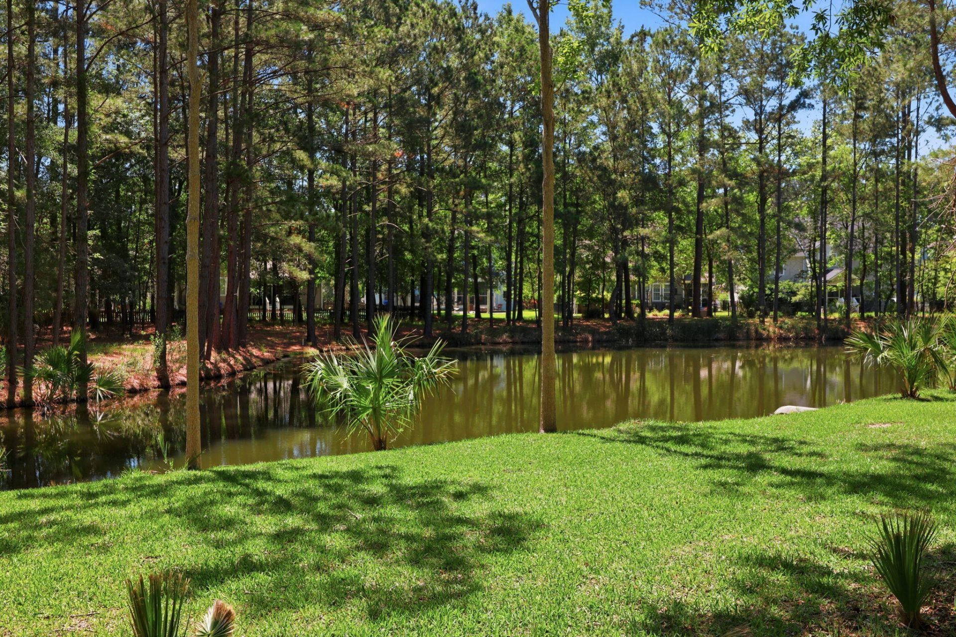 2041 Ashburton Way Photo 35