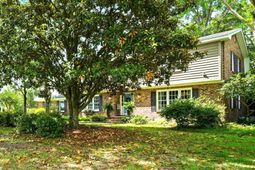 49 Markfield Drive photo 4