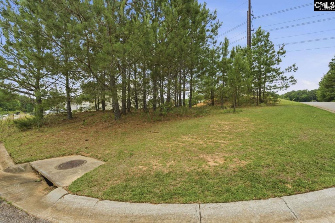 204 Cascade Court  Photo 5