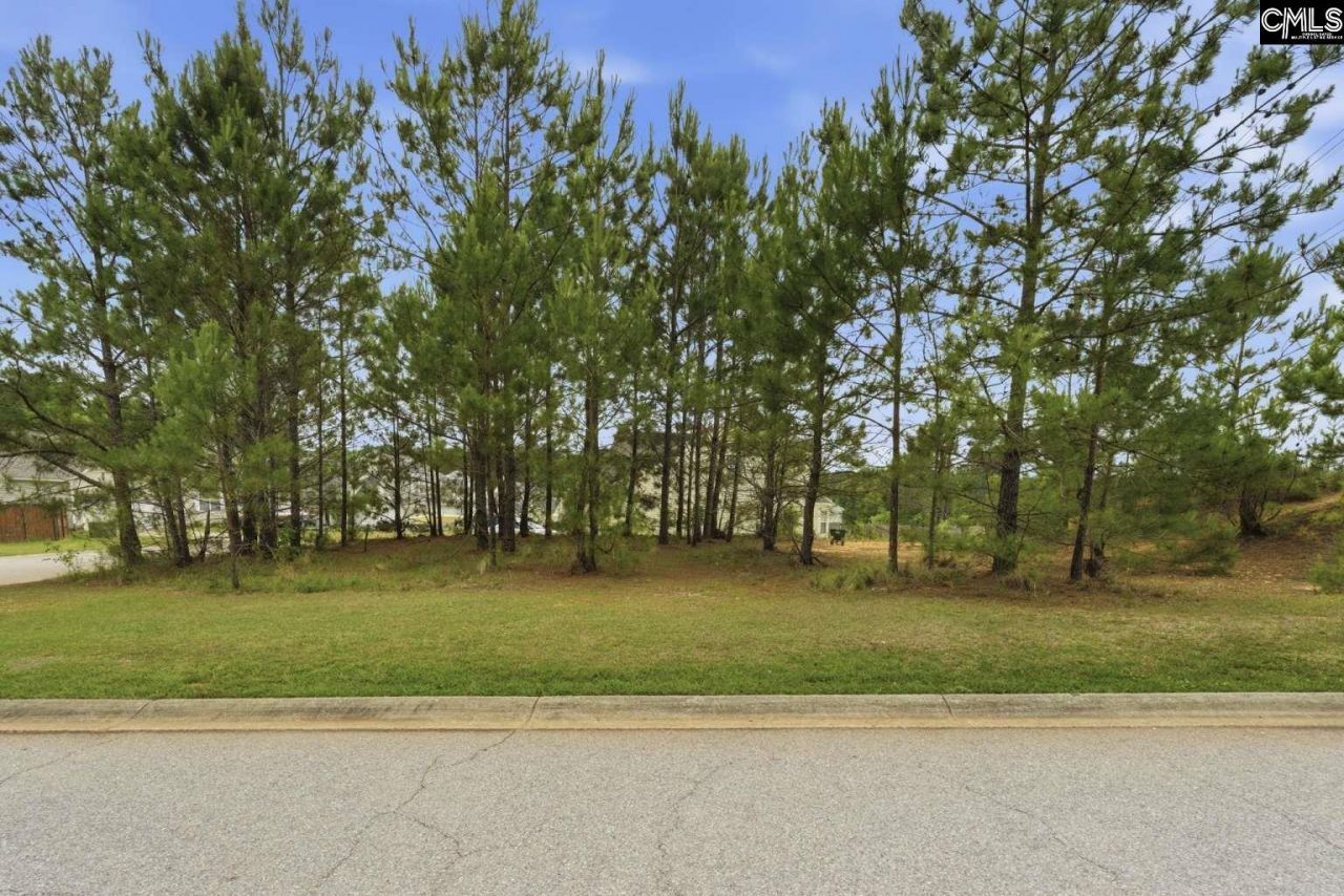 204 Cascade Court  Photo 6