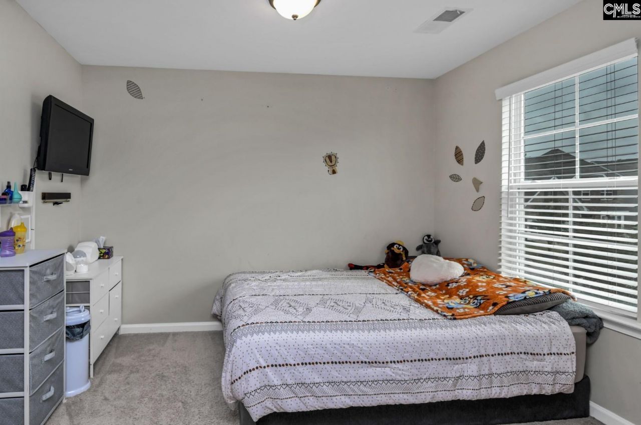 608 Frow Drive  Photo 29