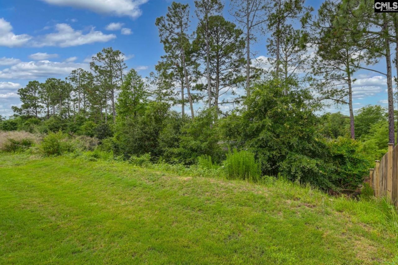 608 Frow Drive  Photo 43