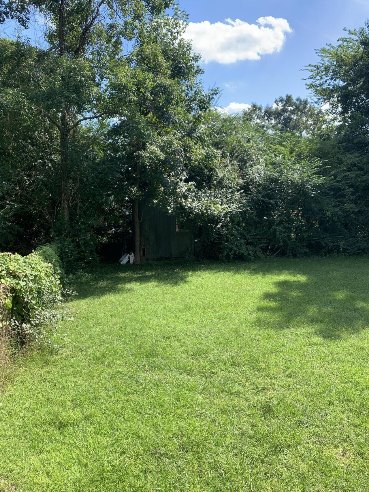109 Tupperway Drive Photo 8
