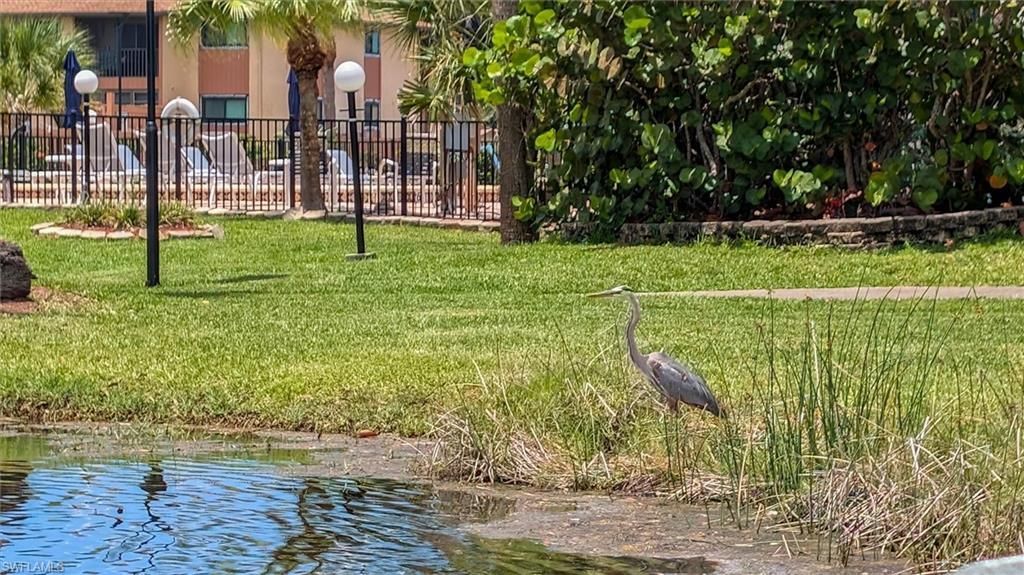 6315 Royal Woods Dr, Fort Myers, FL 33908 Photo