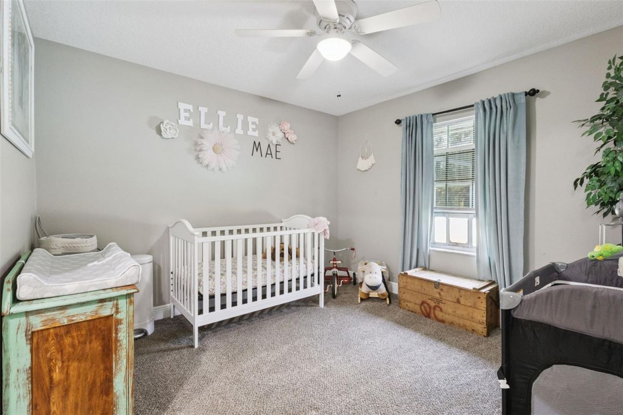 37911 Felkins Road, Leesburg, FL 34788 Photo