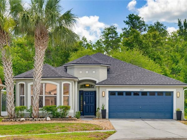 10842 WILD COTTON COURT , LAND O LAKES, FL 34638