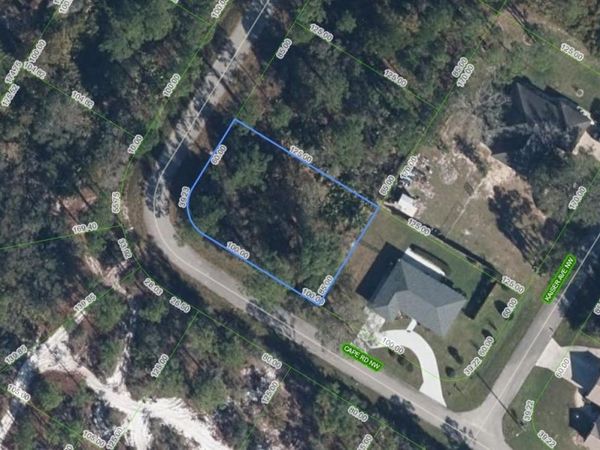 545 CAPE ROAD NW, LAKE PLACID, FL 33852