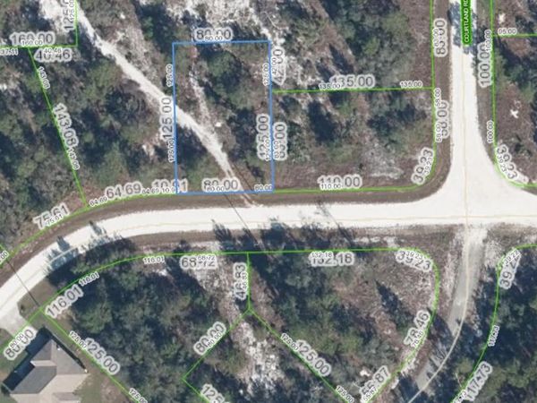 3324 GOSSAMER AVENUE , LAKE PLACID, FL 33852