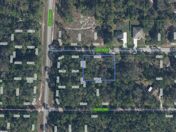 3154 CARLTON AVENUE , LAKE PLACID, FL 33852