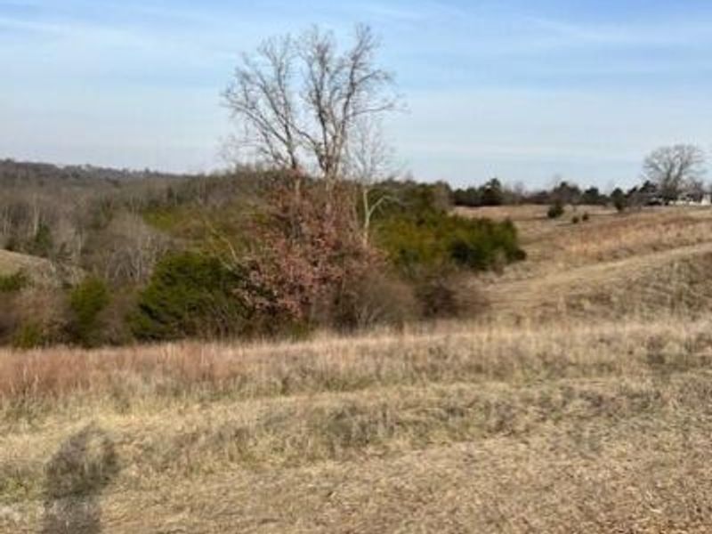 283 Jacobs Road, Butler, KY 41006 Photo 16
