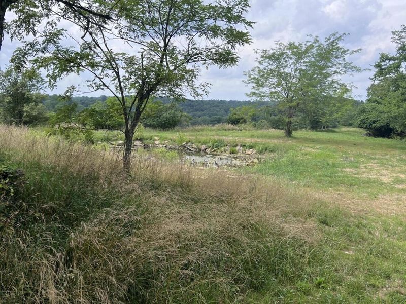 283 Jacobs Road, Butler, KY 41006 Photo 6