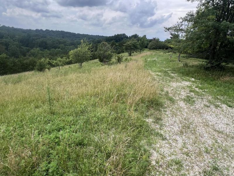 283 Jacobs Road, Butler, KY 41006 Photo 7