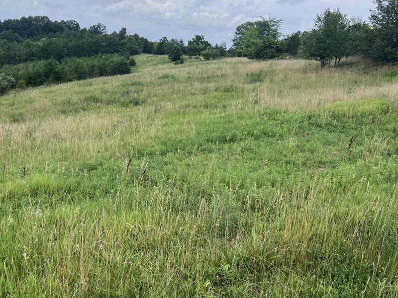 283 Jacobs Road, Butler, KY 41006 Photo 8