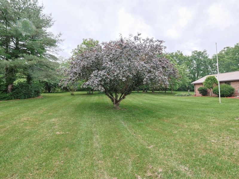 4038 Schoenling Road, Okeana, OH 45053 Photo 43
