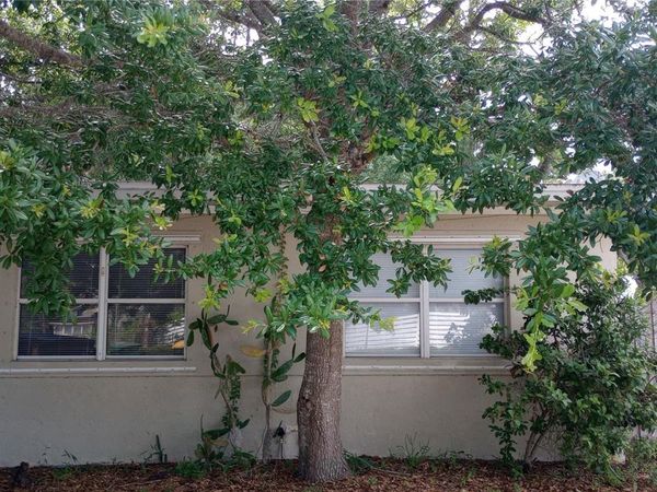 3419 OLD BRADENTON ROAD, SARASOTA, FL 34234