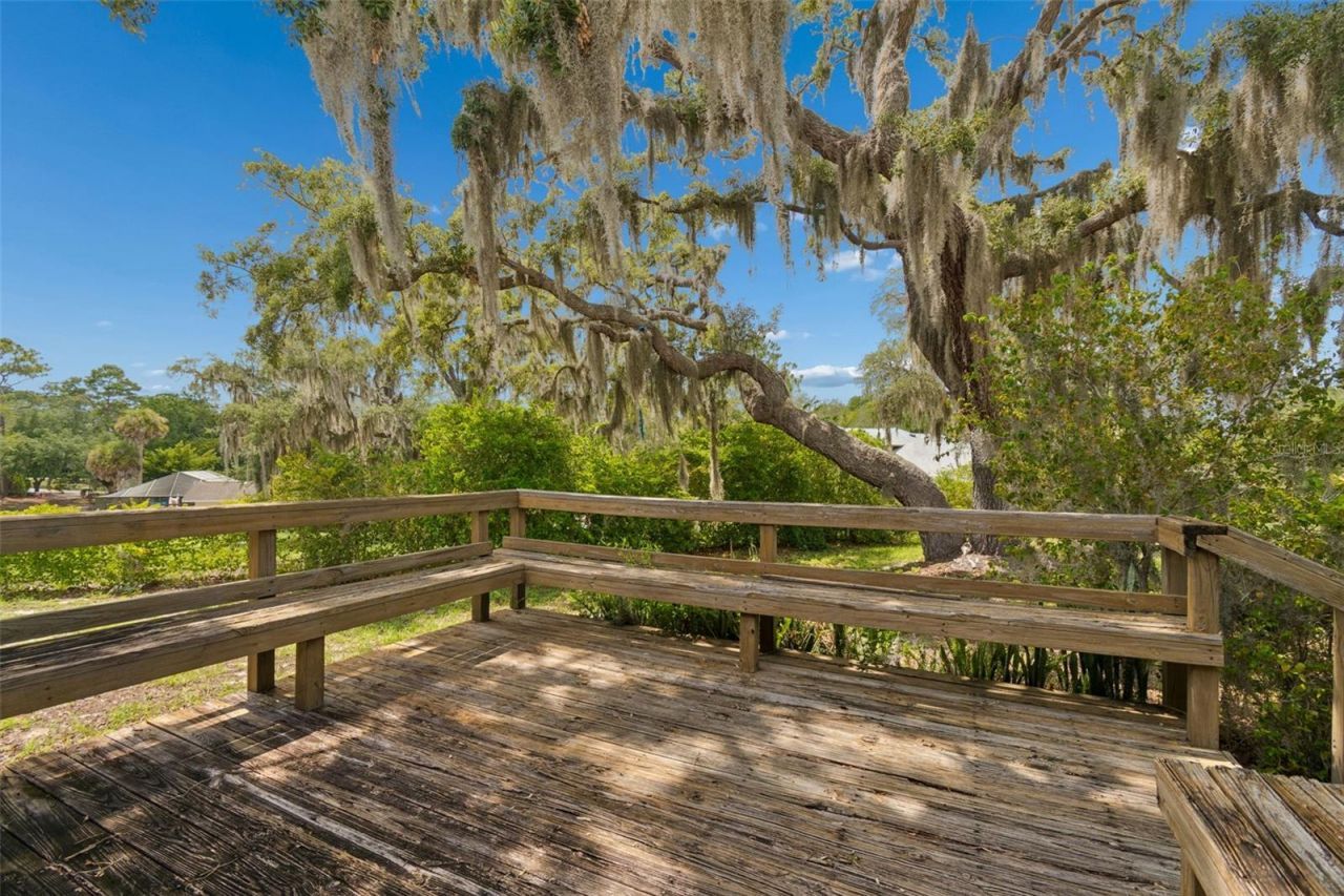 9400 Indale Drive, New Port Richey, FL 34654 Photo