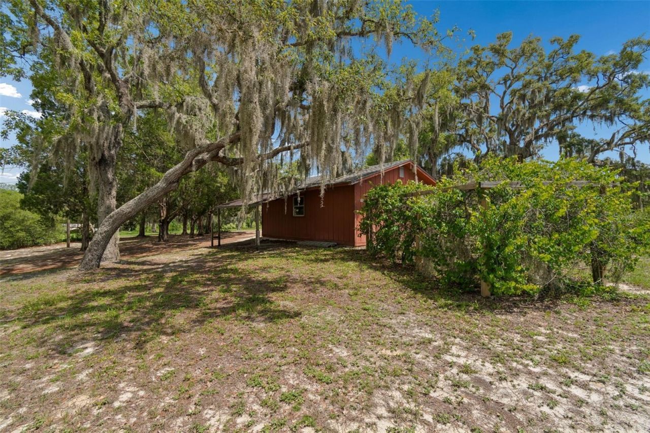 9400 Indale Drive, New Port Richey, FL 34654 Photo
