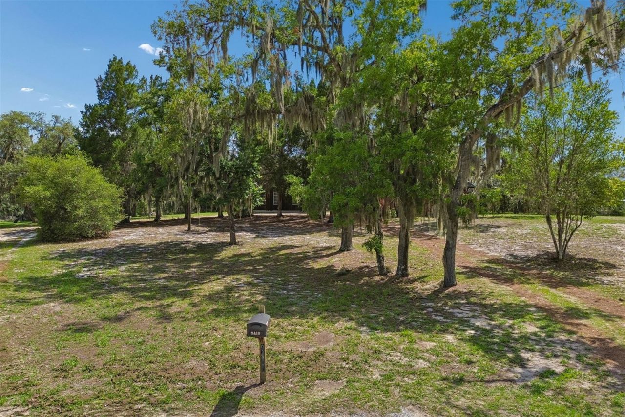 9400 Indale Drive, New Port Richey, FL 34654 Photo