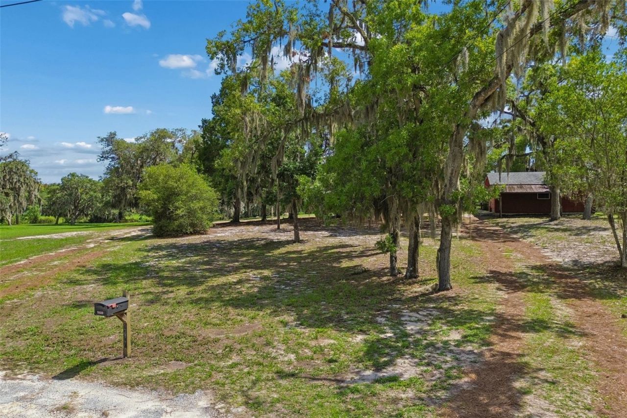 9400 Indale Drive, New Port Richey, FL 34654 Photo