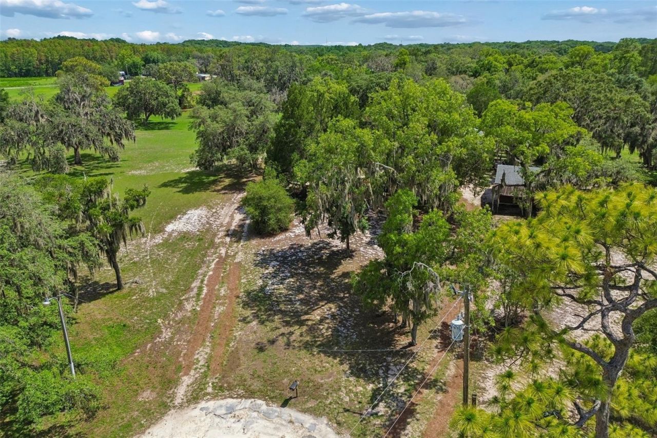 9400 Indale Drive, New Port Richey, FL 34654 Photo