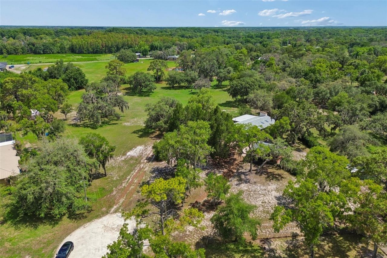 9400 Indale Drive, New Port Richey, FL 34654 Photo