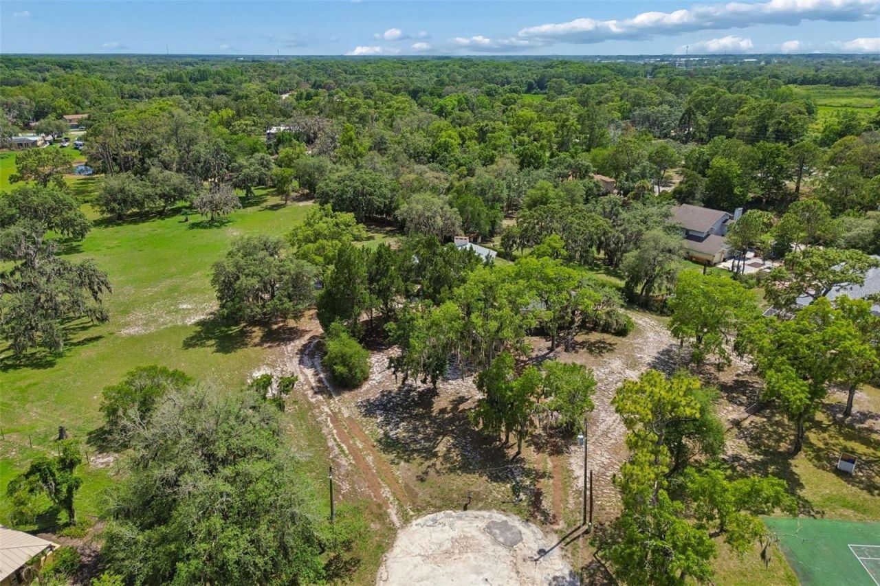 9400 Indale Drive, New Port Richey, FL 34654 Photo