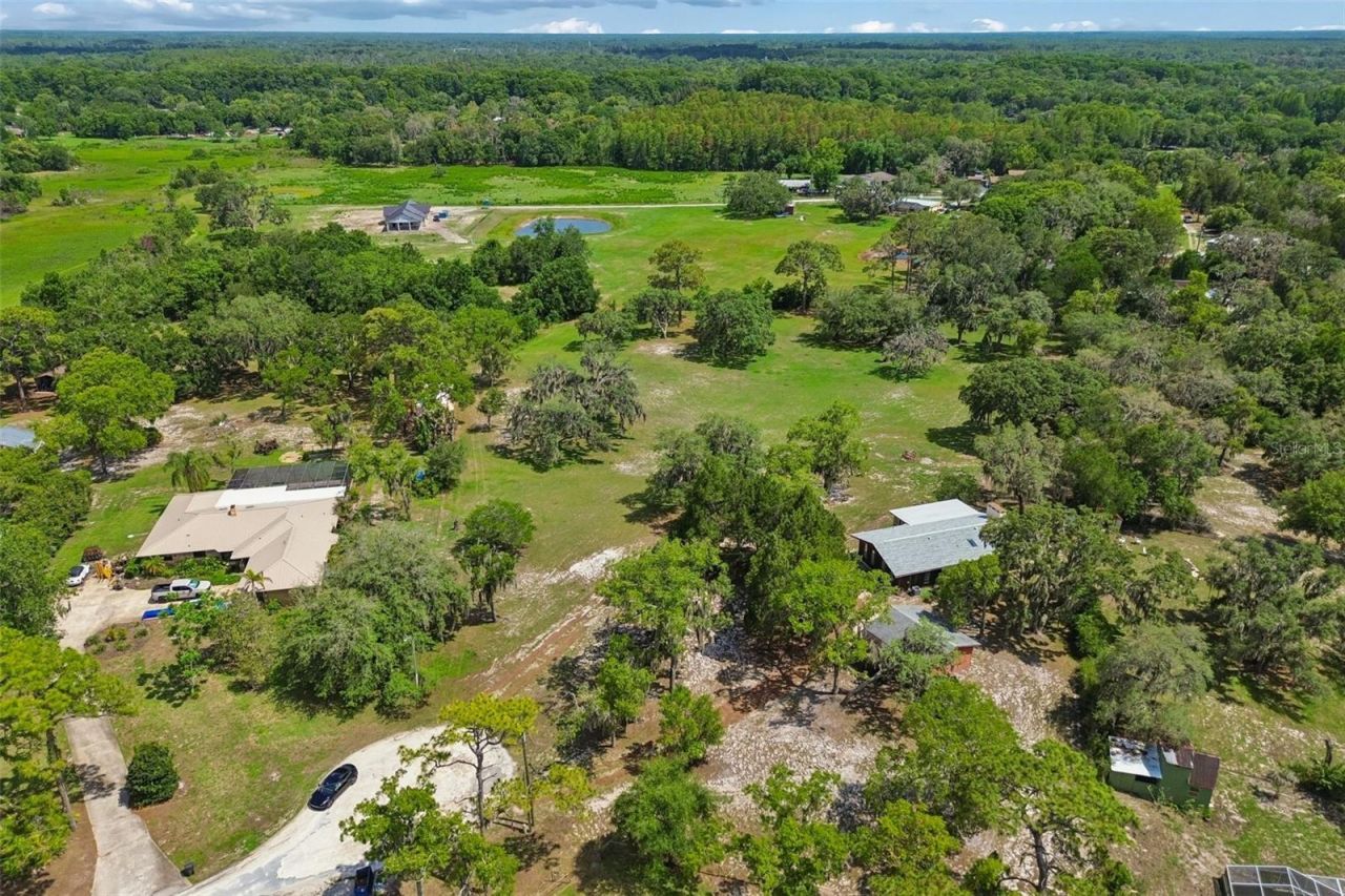 9400 Indale Drive, New Port Richey, FL 34654 Photo