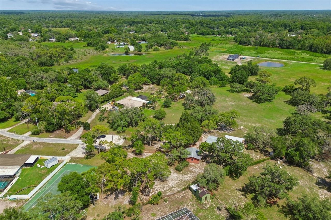 9400 Indale Drive, New Port Richey, FL 34654 Photo