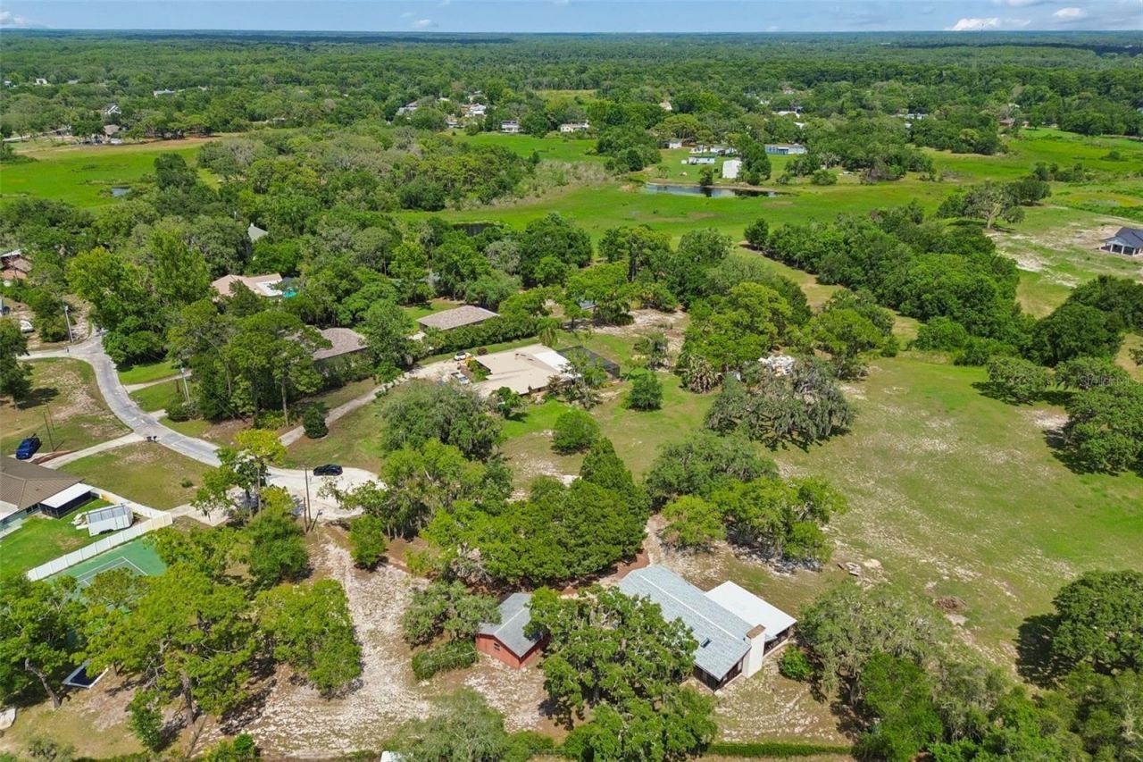 9400 Indale Drive, New Port Richey, FL 34654 Photo