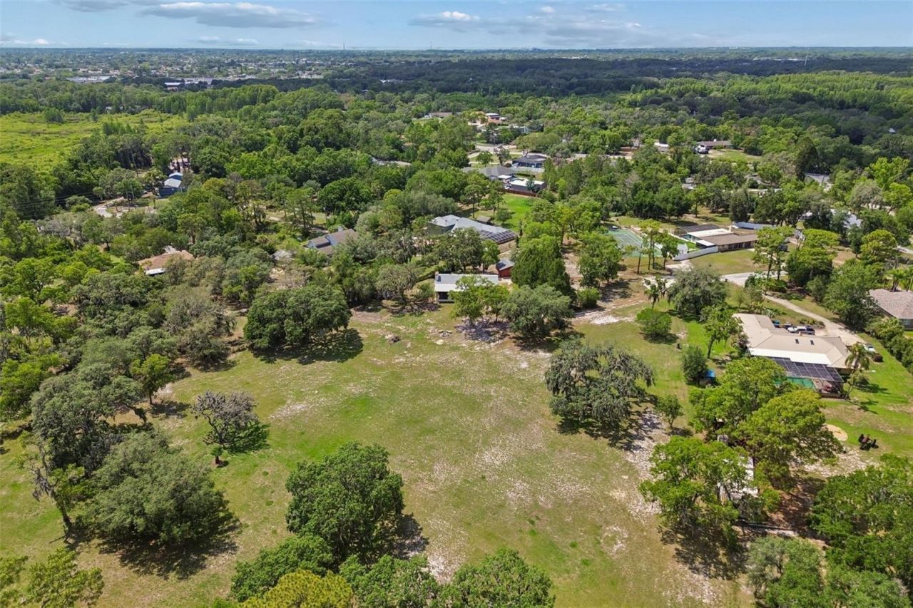 9400 Indale Drive, New Port Richey, FL 34654 Photo