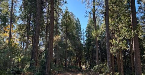 15855 Sunny Dr, Pioneer, CA 95666 Photo