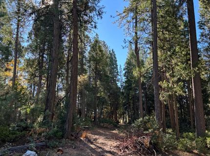 15855 Sunny Dr, Pioneer, CA 95666 Photo
