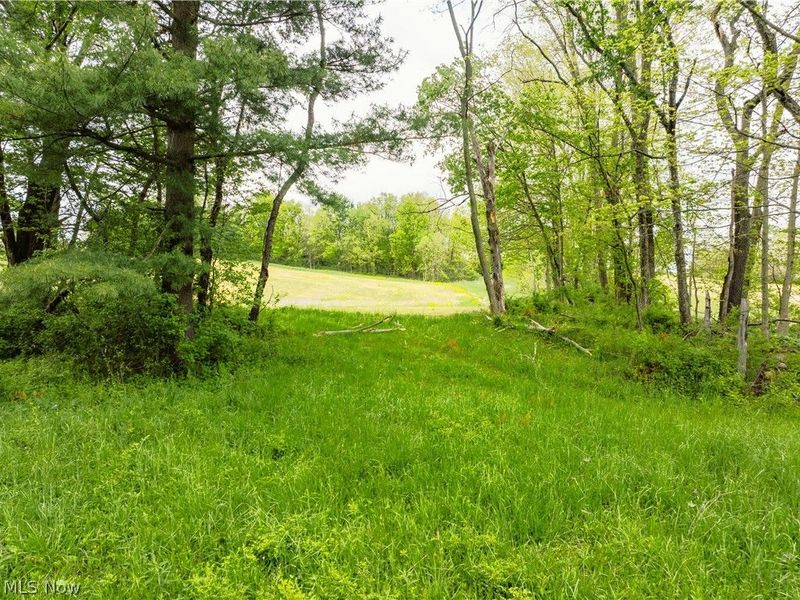 930 Garver Road , Mansfield, OH 44903 Photo 25