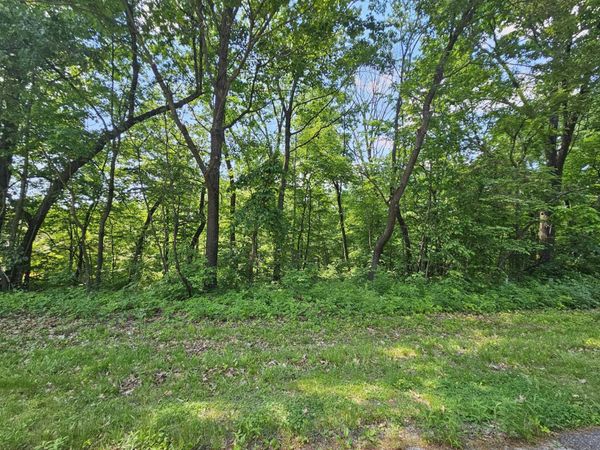 3 Haven Lane Lane, GALENA, IL 61036