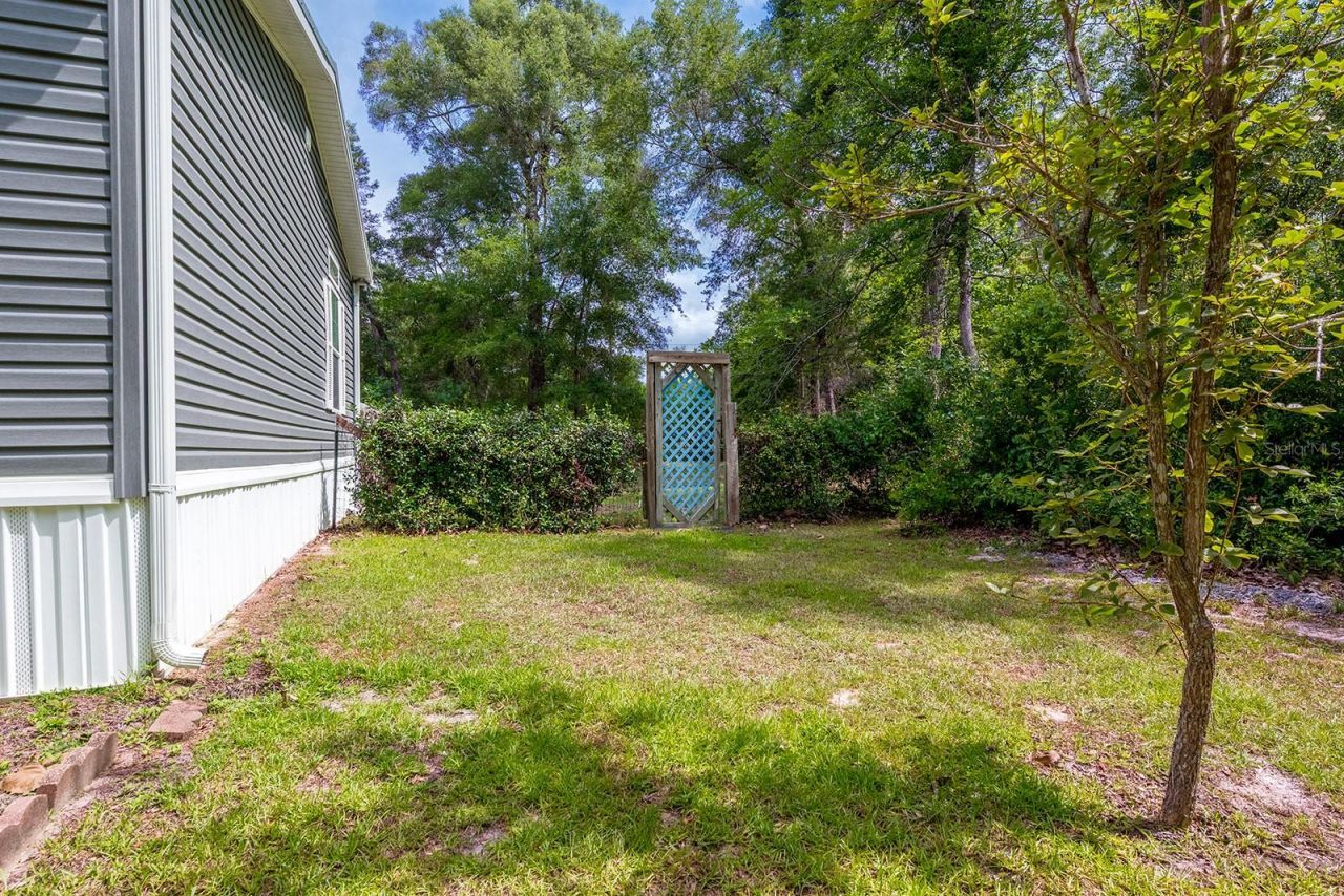 225 NE 543rd Avenue, Old Town, FL 32680 Photo