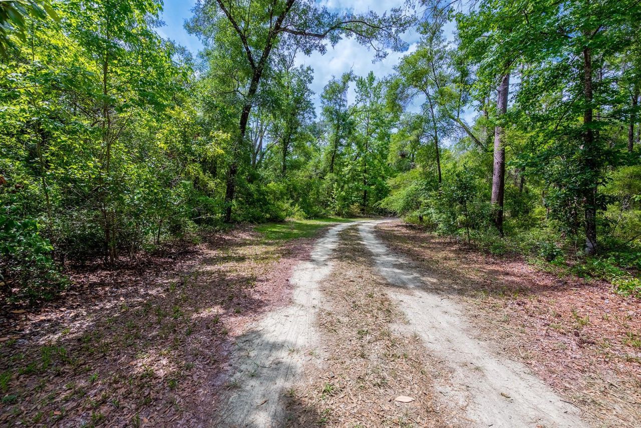 225 NE 543rd Avenue, Old Town, FL 32680 Photo
