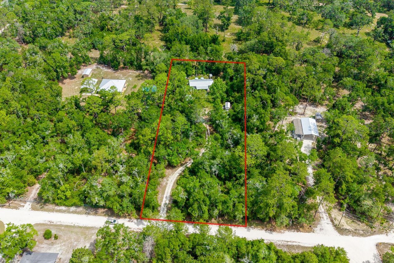 225 NE 543rd Avenue, Old Town, FL 32680 Photo
