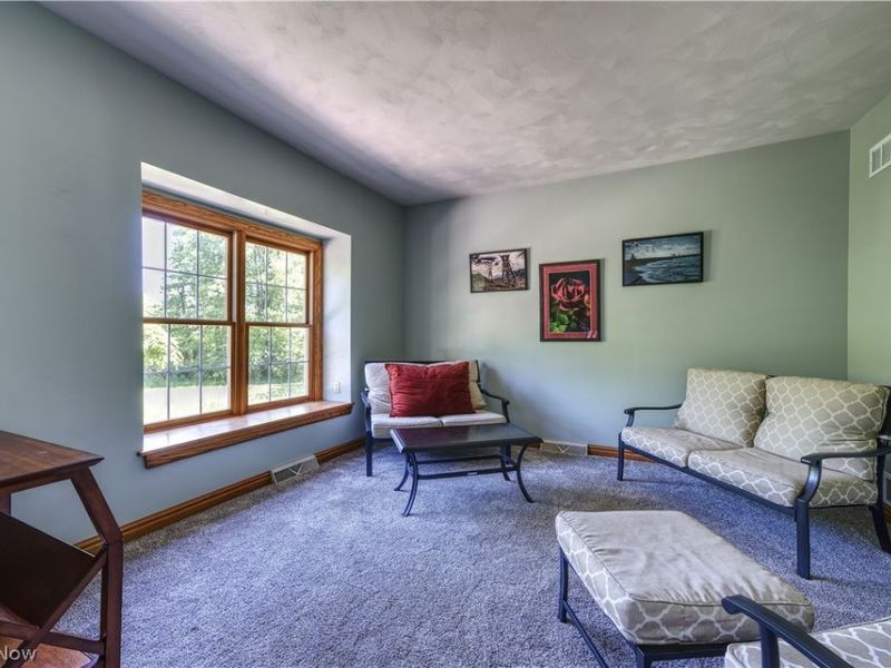 8744 Tippecanoe Road , Canfield, OH 44406 Photo 3