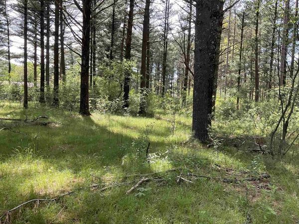 DEER LANE, Wisconsin Rapids, WI 54494