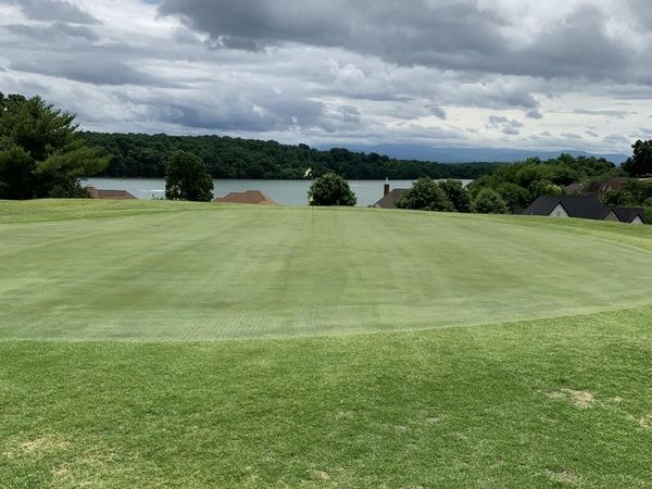 120 Pineberry Drive, Vonore, TN 37885
