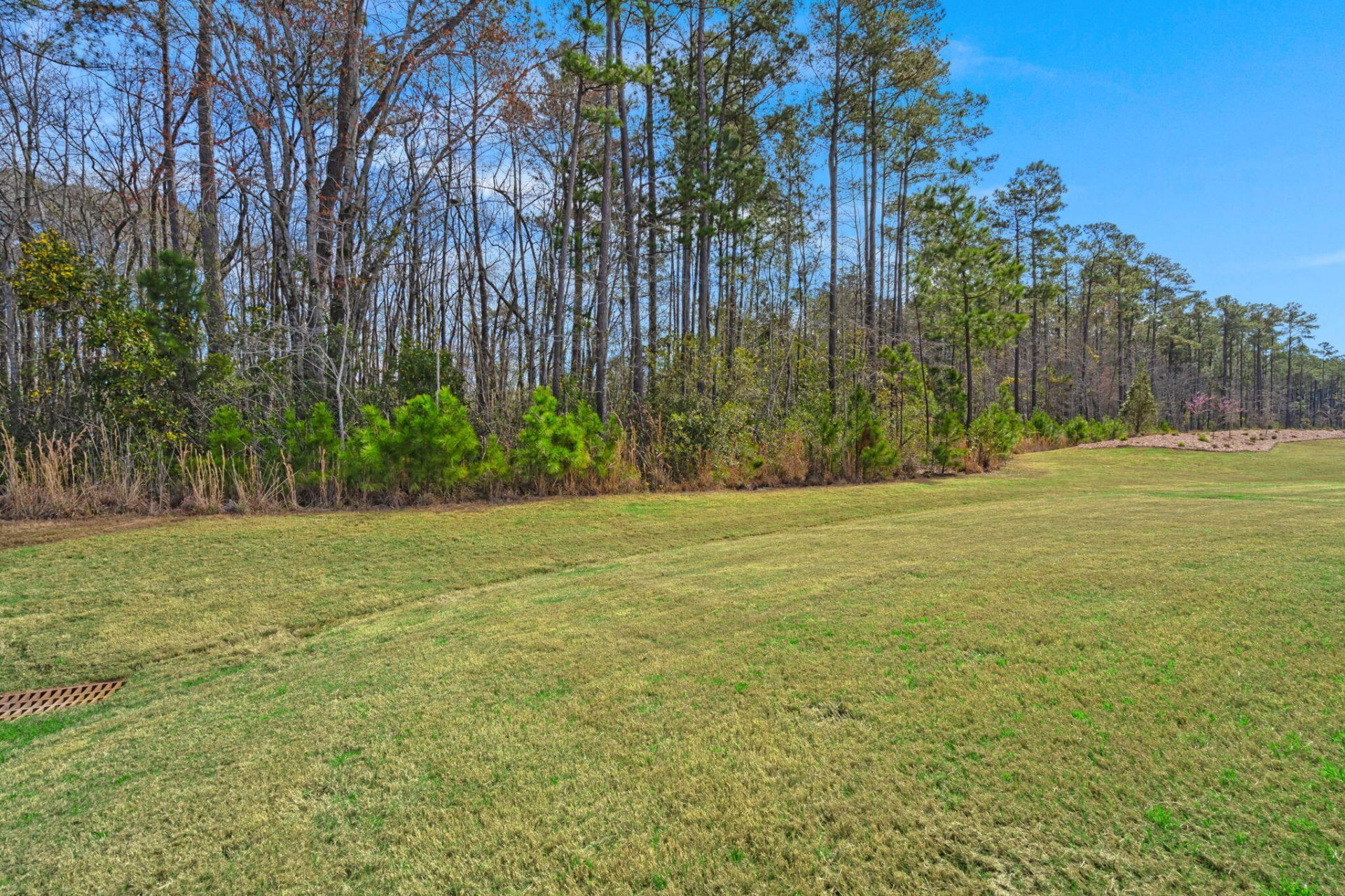 134 Summerwind Drive Photo 39