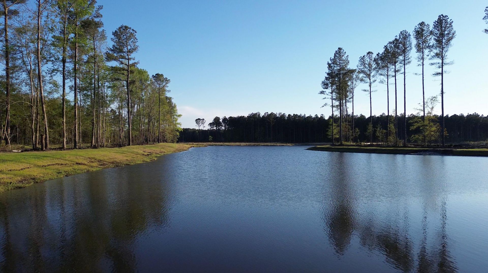 134 Summerwind Drive Photo 40