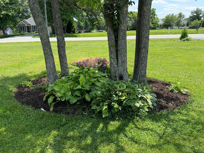 685 Waynoka Drive, Sardinia, OH 45171 Photo 37