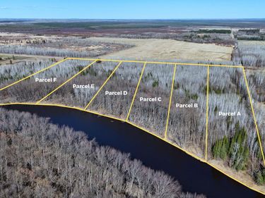 Lot B County Road 79 , Littlefork, MN 56653