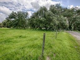 Cr 763, Bushnell, FL 33513 Photo
