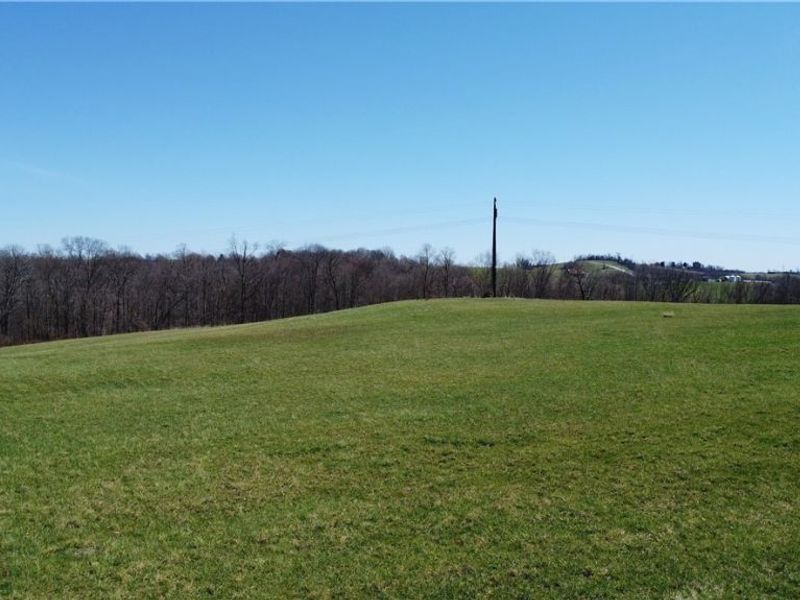 Zunick Road , Bridgeport, OH 43912 Photo 4