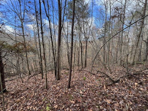 0 Smyrna Road , Evensville, TN 37332