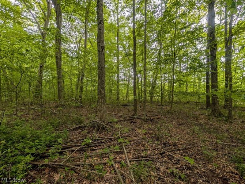 W Western Reserve Road , Canfield, OH 44406 Photo 11
