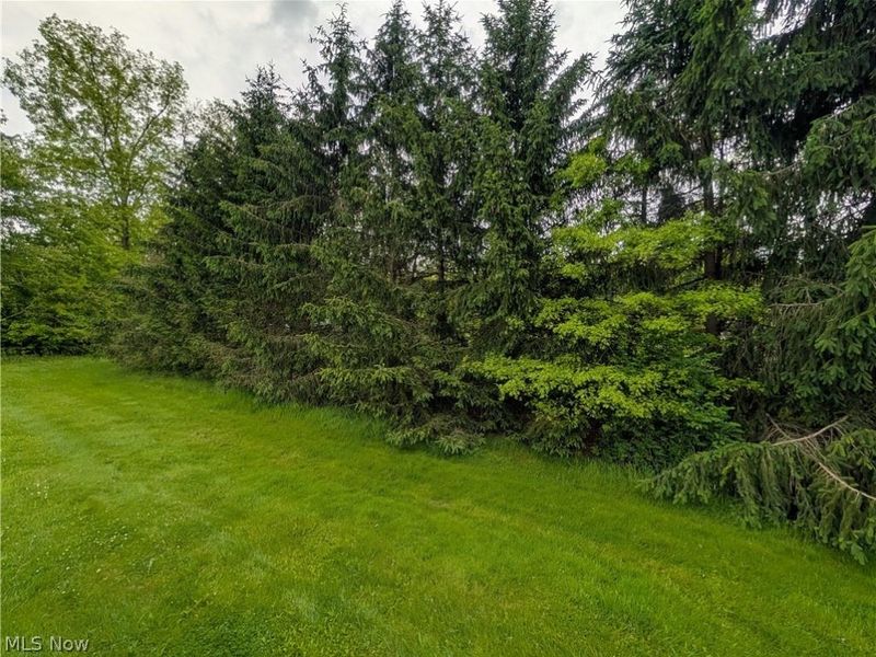 W Western Reserve Road , Canfield, OH 44406 Photo 12