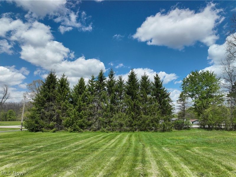 W Western Reserve Road , Canfield, OH 44406 Photo 15